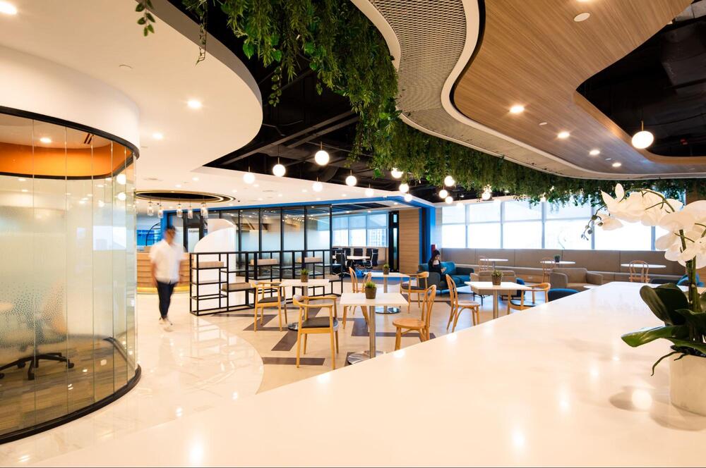 eco office ideas eco office ideas