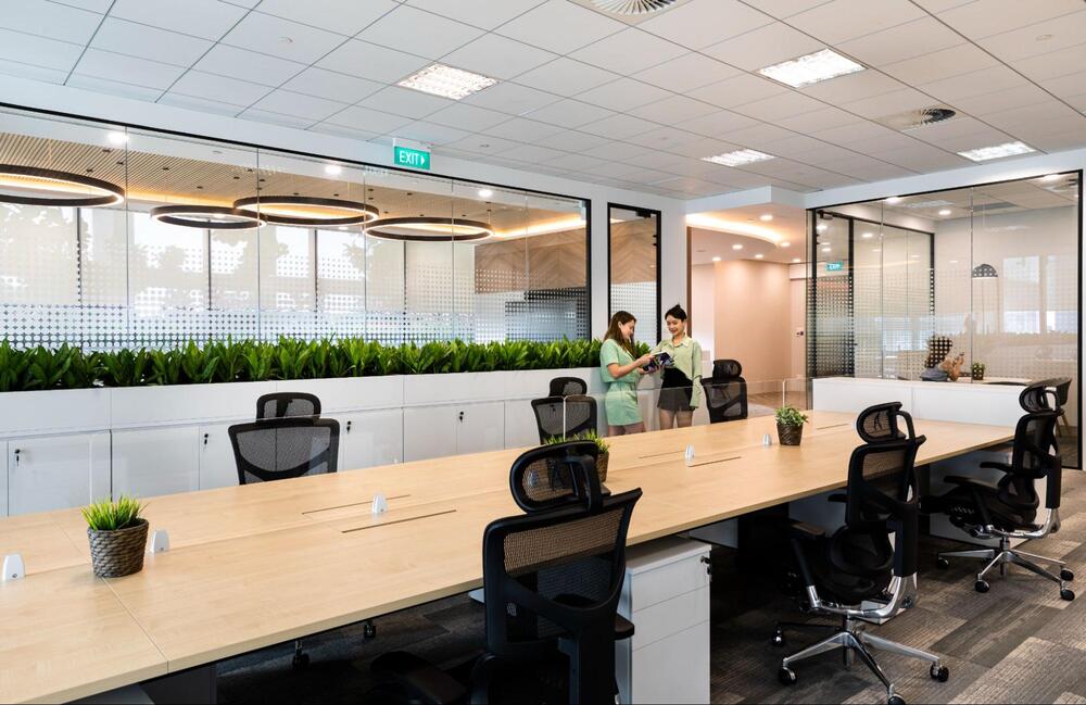 green office ideas green office ideas