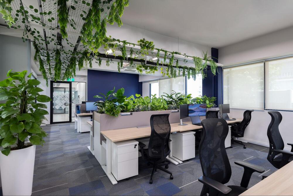 biophilic design office