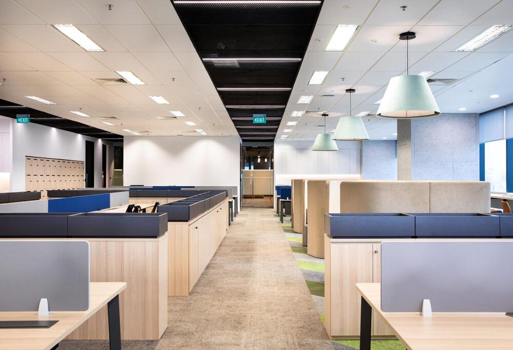 blue and white office design