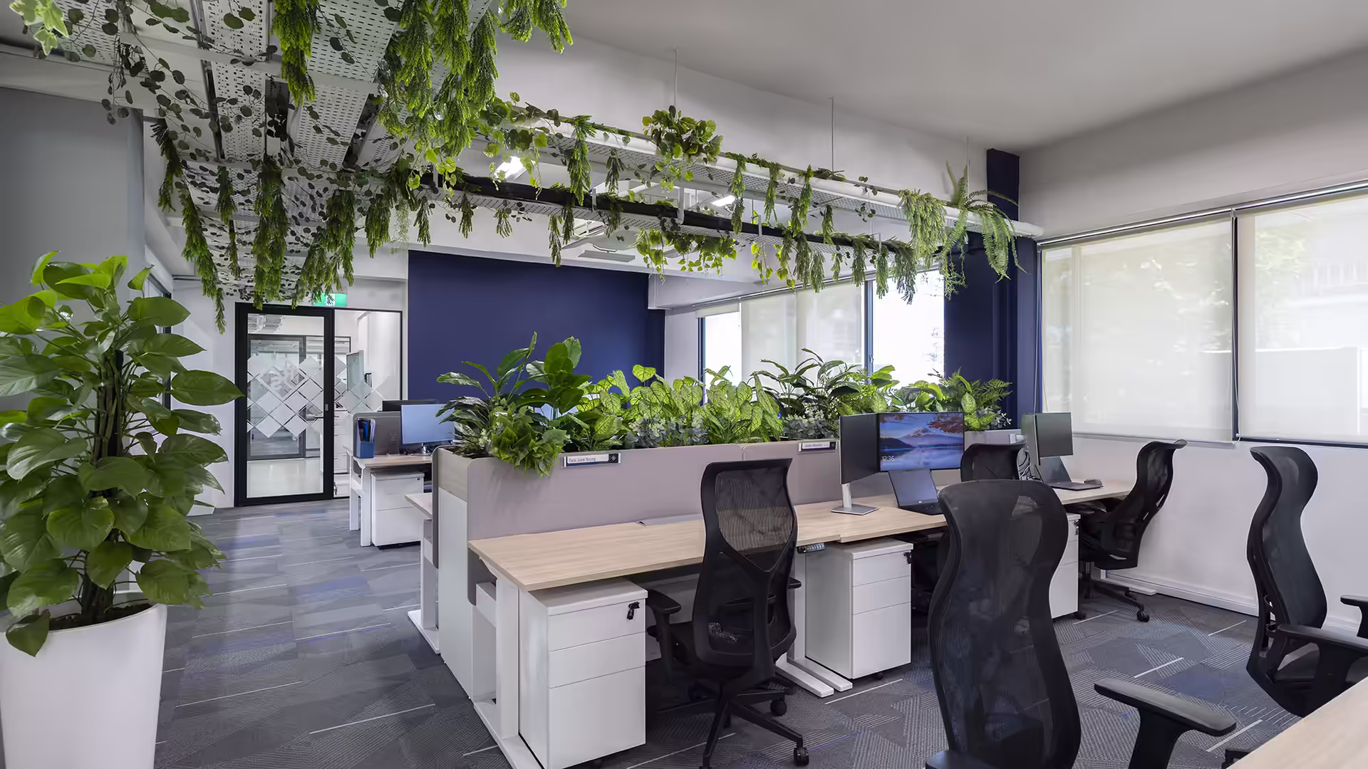 blue and white office design