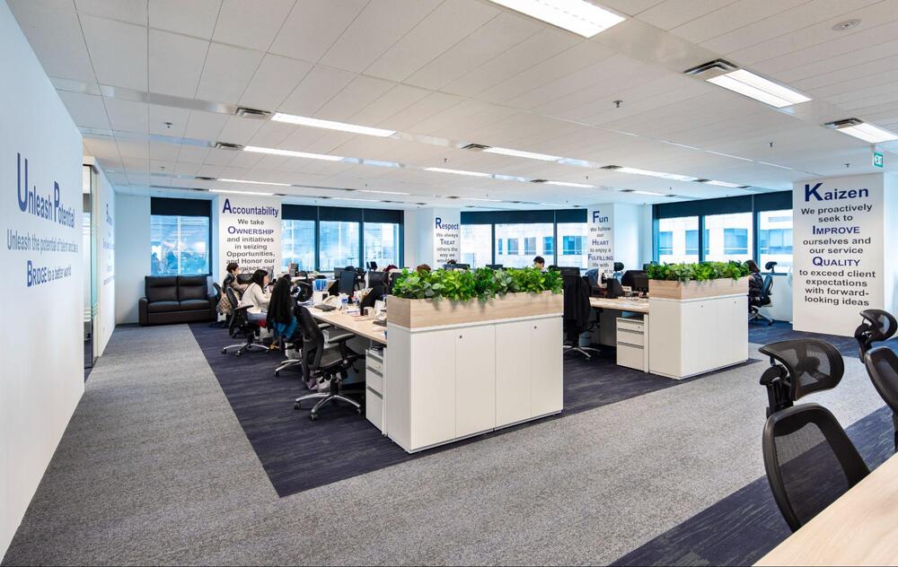 wellness office design wellness office design