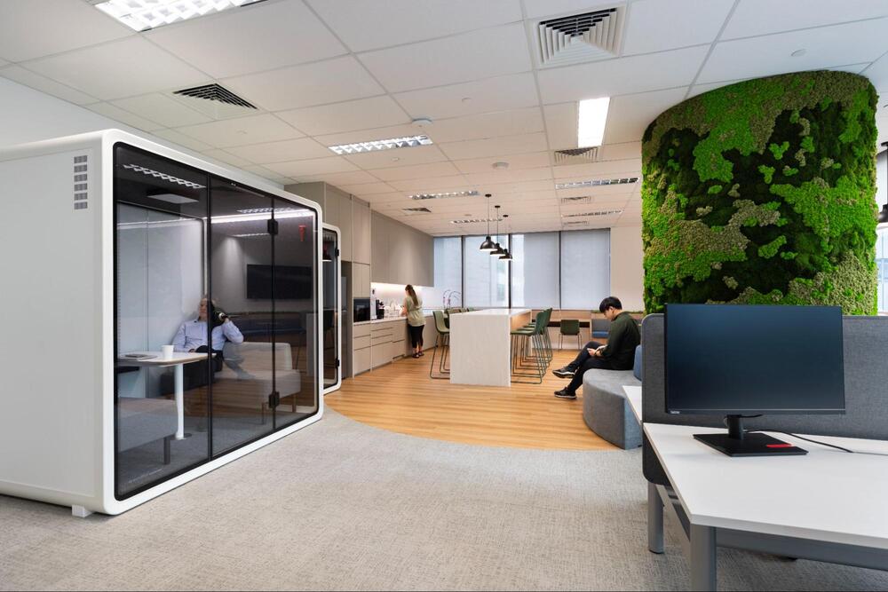 wellness office design wellness office design