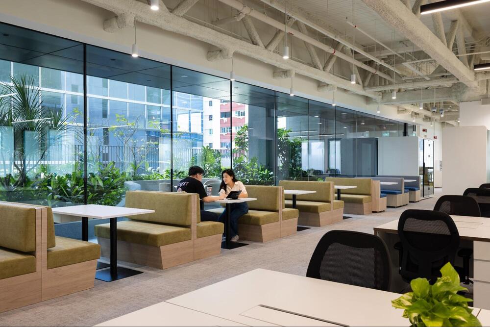 wellness office design wellness office design